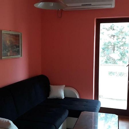 Apartmani Vukovic 普纳特 外观 照片