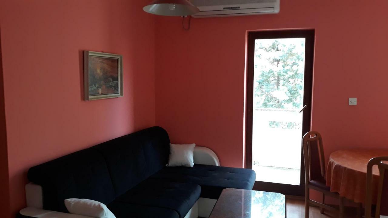 Apartmani Vukovic 普纳特 外观 照片